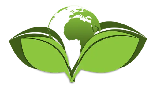 Green-Cleaning--in-Burleson-Texas-green-cleaning-burleson-texas.jpg-image