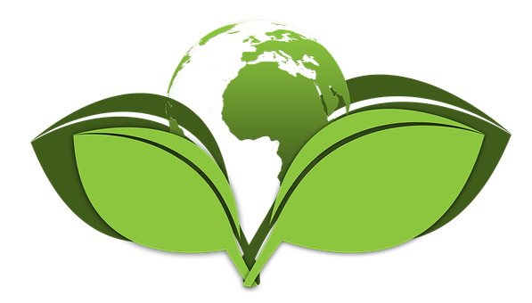 Green-Cleaning--in-Glen-Rose-Texas-green-cleaning-glen-rose-texas.jpg-image