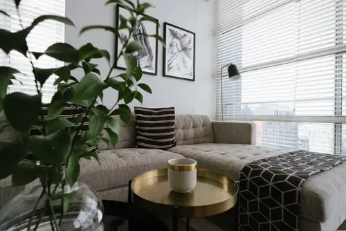 Upholstery-Cleaning--in-Anna-Texas-upholstery-cleaning-anna-texas.jpg-image